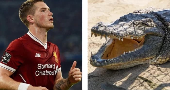 Liverpool news: Former Reds player convinced of transfer switch for bizarre reason Liverpool news: Former Reds player convinced of transfer switch for bizarre reason